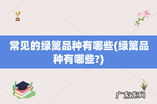 绿篱品种有哪些? 常见的绿篱品种有哪些
