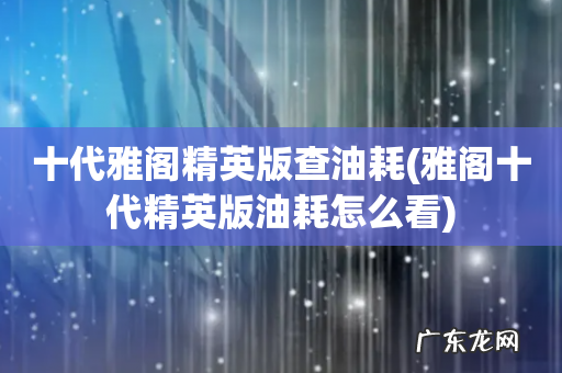 雅阁十代精英版油耗怎么看 十代雅阁精英版查油耗