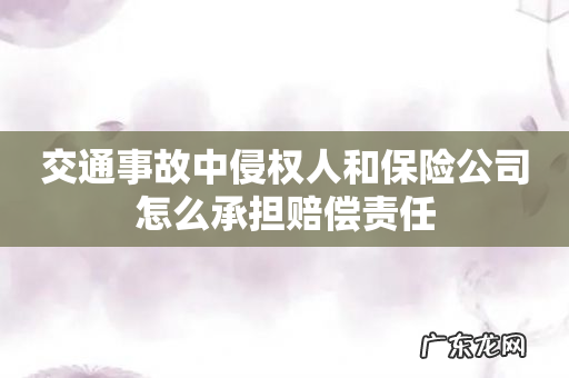 交通事故中侵权人和保险公司怎么承担赔偿责任