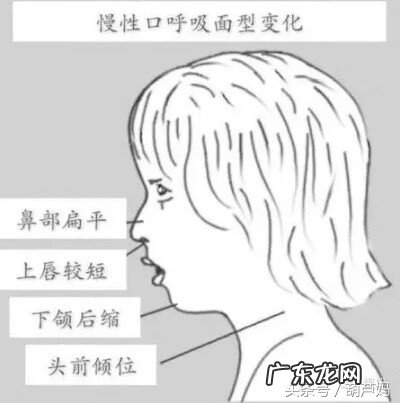 婴幼儿喝水用什么杯子 宝宝喝水杯子的顺序