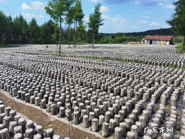 黑龙江走向 黑龙江风水如何