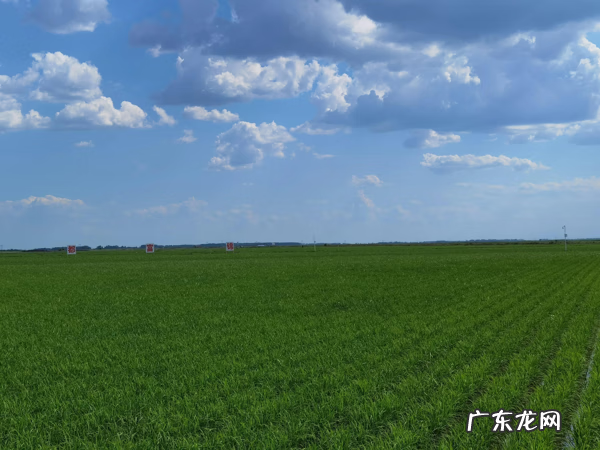 黑龙江走向 黑龙江风水如何