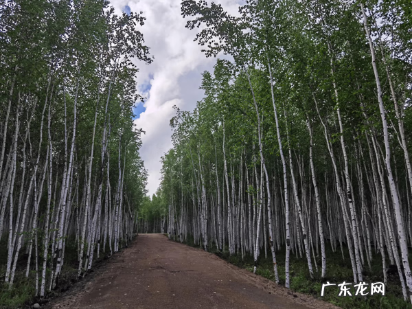 黑龙江走向 黑龙江风水如何