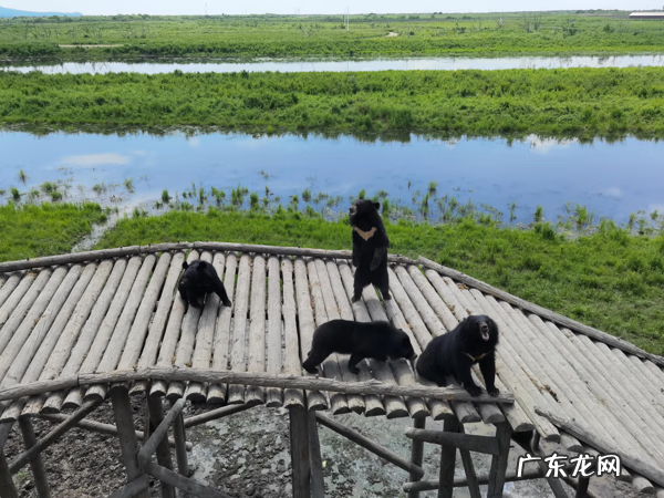 黑龙江走向 黑龙江风水如何