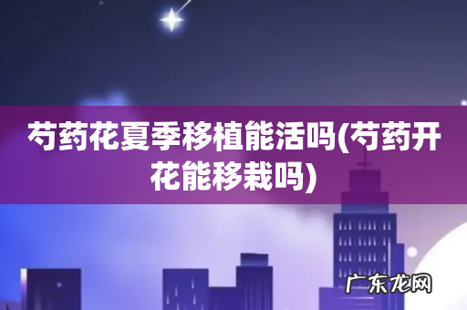 芍药开花能移栽吗 芍药花夏季移植能活吗
