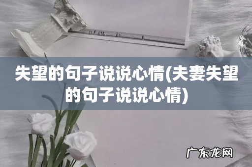 夫妻失望的句子说说心情 失望的句子说说心情