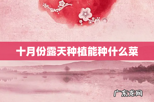 十月份露天种植能种什么菜