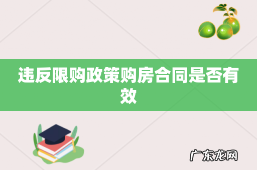 违反限购政策购房合同是否有效