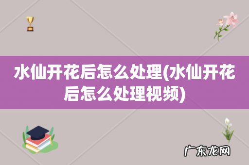 水仙开花后怎么处理视频 水仙开花后怎么处理