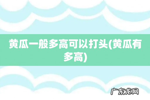 黄瓜有多高 黄瓜一般多高可以打头