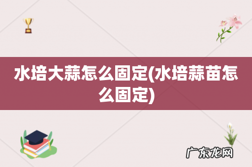 水培蒜苗怎么固定 水培大蒜怎么固定