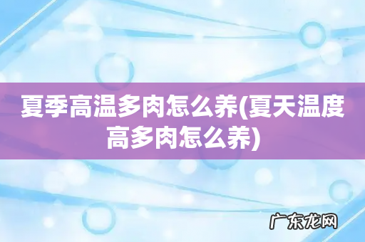 夏天温度高多肉怎么养 夏季高温多肉怎么养