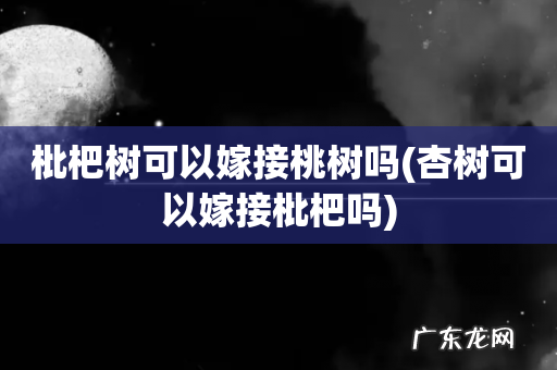 杏树可以嫁接枇杷吗 枇杷树可以嫁接桃树吗