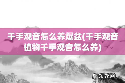 千手观音植物千手观音怎么养 千手观音怎么养爆盆