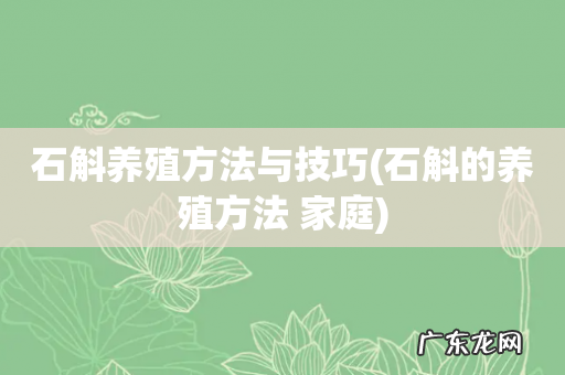 石斛的养殖方法 家庭 石斛养殖方法与技巧