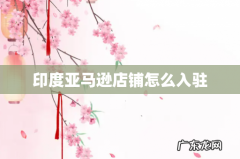 印度亚马逊店铺怎么入驻