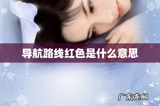 导航路线红色是什么意思