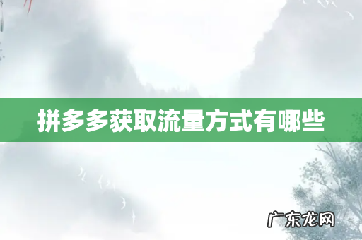 拼多多获取流量方式有哪些