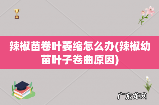 辣椒幼苗叶子卷曲原因 辣椒苗卷叶萎缩怎么办