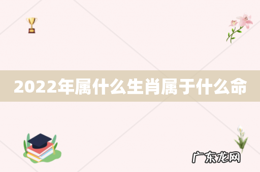 2022年属什么生肖属于什么命