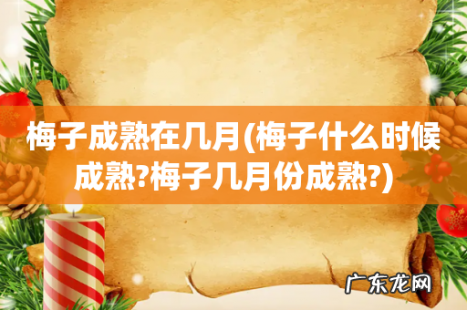 梅子什么时候成熟?梅子几月份成熟? 梅子成熟在几月