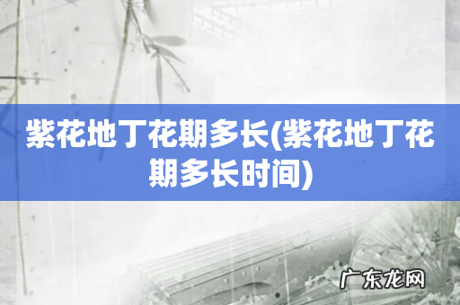 紫花地丁花期多长时间 紫花地丁花期多长