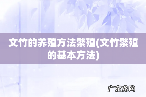 文竹繁殖的基本方法 文竹的养殖方法繁殖