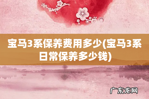 宝马3系日常保养多少钱 宝马3系保养费用多少