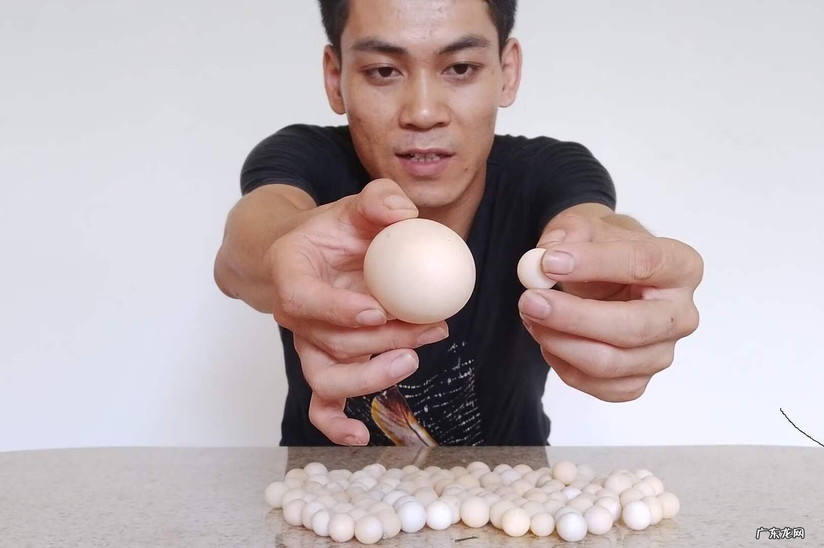 甲鱼蛋什么人不适合食用 甲鱼蛋什么样子