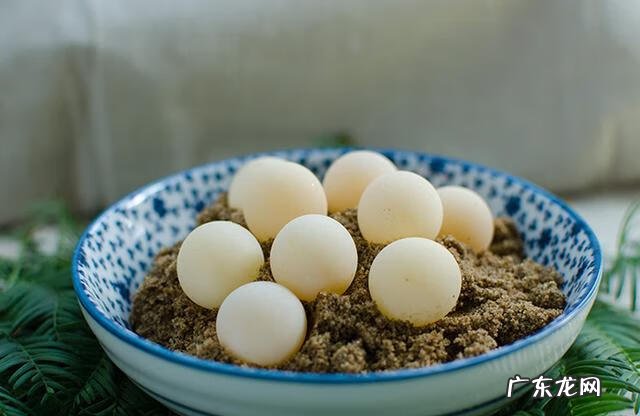 甲鱼蛋什么人不适合食用 甲鱼蛋什么样子