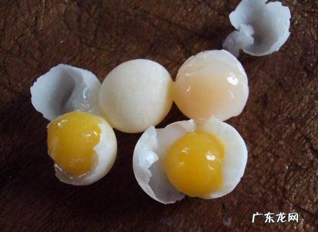 甲鱼蛋什么人不适合食用 甲鱼蛋什么样子