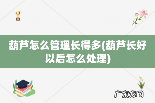 葫芦长好以后怎么处理 葫芦怎么管理长得多