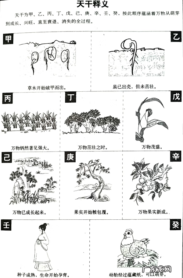 壬水对应什么生肖 壬在风水中代表什么