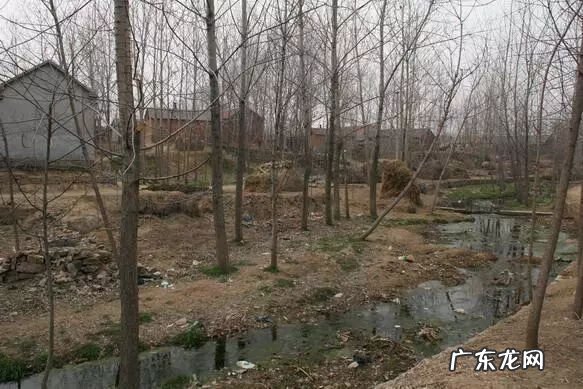 益风说风水是不是真的 益福堂说风水 阳宅