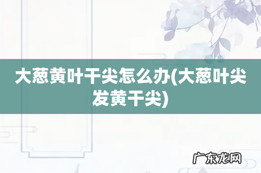 大葱叶尖发黄干尖 大葱黄叶干尖怎么办