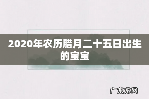 2020年农历腊月二十五日出生的宝宝