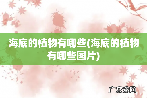 海底的植物有哪些图片 海底的植物有哪些