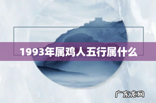 1993年属鸡人五行属什么