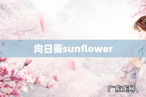 向日葵sunflower