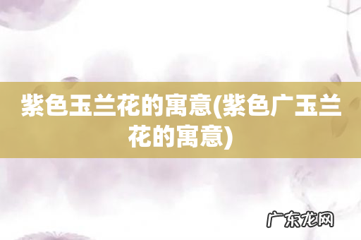 紫色广玉兰花的寓意 紫色玉兰花的寓意
