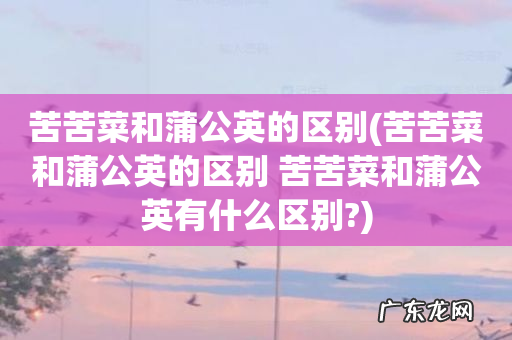 苦苦菜和蒲公英的区别 苦苦菜和蒲公英有什么区别? 苦苦菜和蒲公英的区别