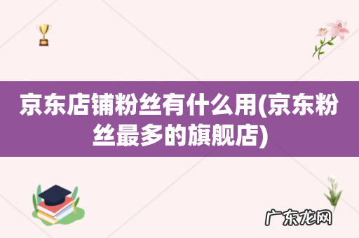 京东粉丝最多的旗舰店 京东店铺粉丝有什么用