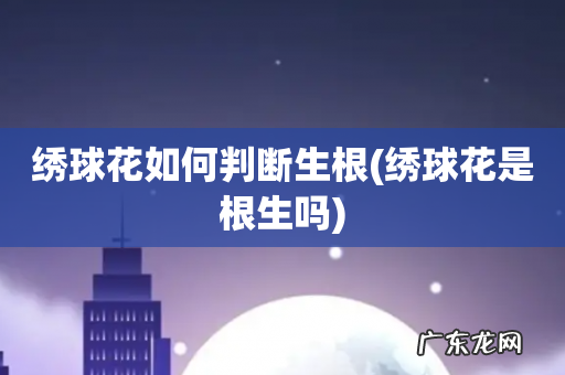 绣球花是根生吗 绣球花如何判断生根