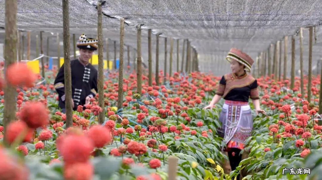 张云升 教授张云生