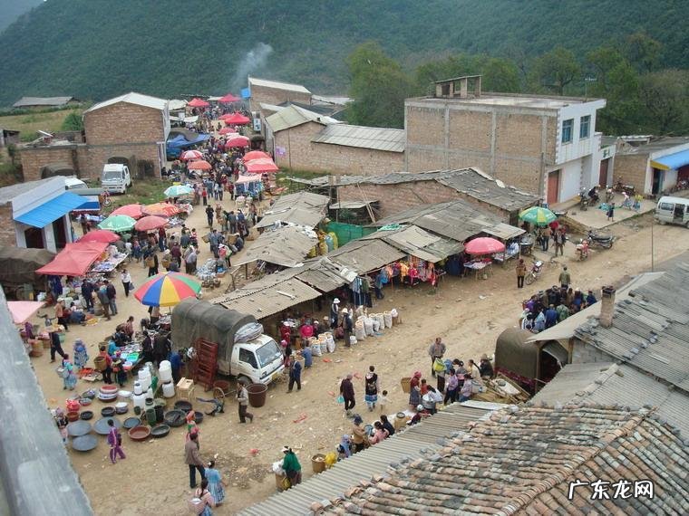 张云升 教授张云生