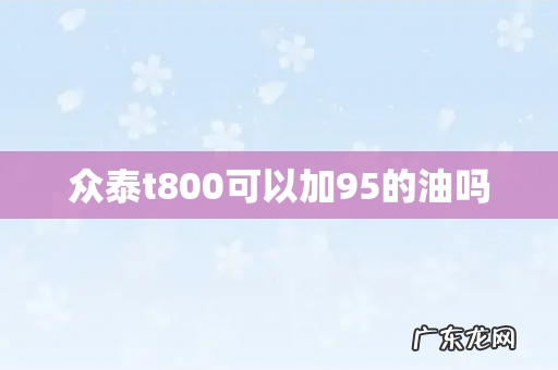 众泰t800可以加95的油吗