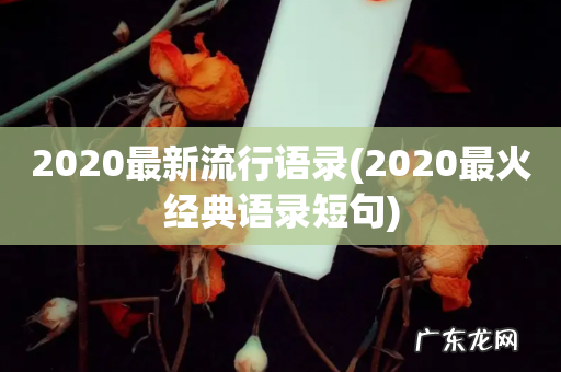 2020最火经典语录短句 2020最新流行语录
