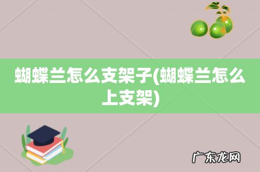 蝴蝶兰怎么上支架 蝴蝶兰怎么支架子