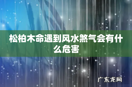 松柏木命遇到风水煞气会有什么危害