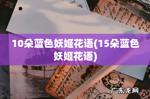 15朵蓝色妖姬花语 10朵蓝色妖姬花语